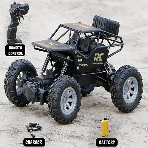 SMALL ROCK CRAWLER - Image 4