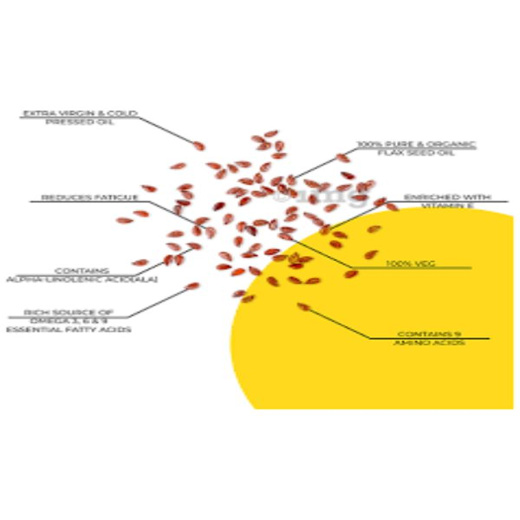 FLAX OMEGA NUTRITION - Image 4