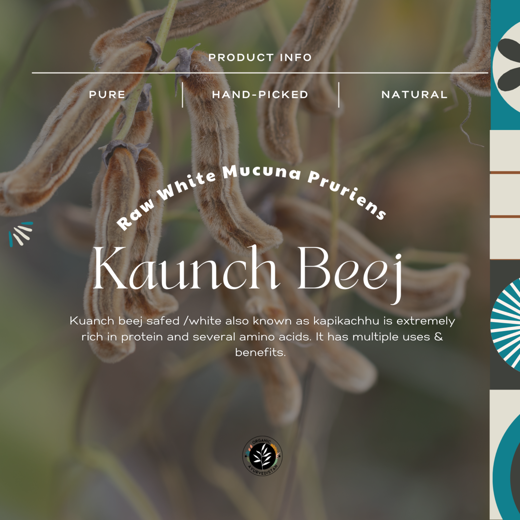 Kaunch beej powder white - Image 2