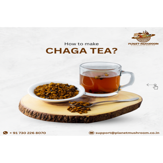 Chaga Mushroom Powder - Image 3