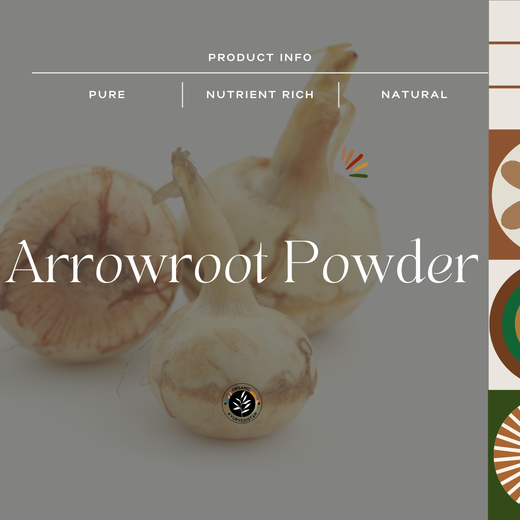 Arrow root powder - Image 3
