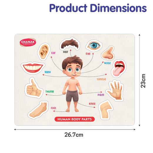 Body Parts Wooden Puzzle - Image 2