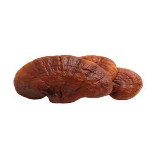 Reishi Mushroom (powder) - Image 3