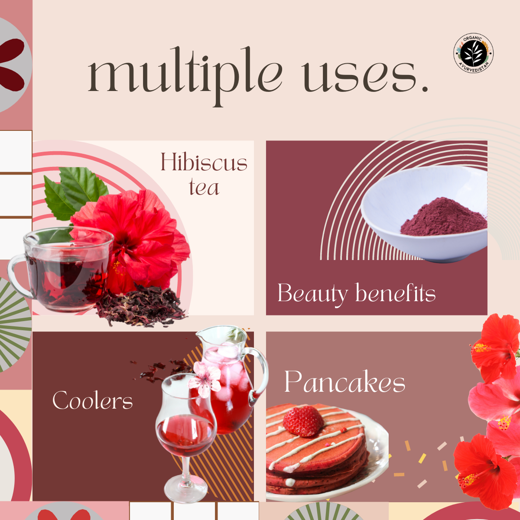 Hibiscus Powder - Image 4