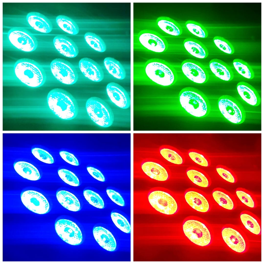 RGB 12 LED Multicolour Par Light ✨