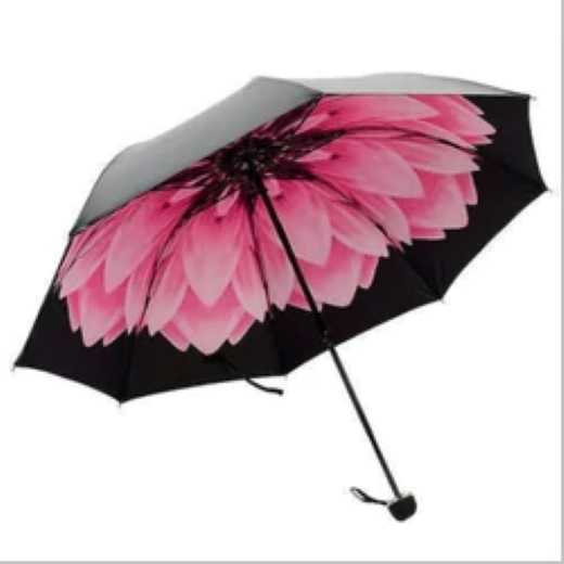 C Umbrella
