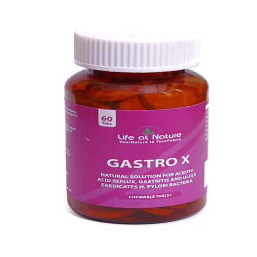 GASTRO X - Image 2