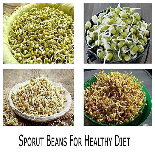 4 Container Layer Sprout Bowl Maker - Image 3