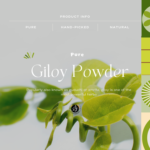 Giloy Powder - Image 2