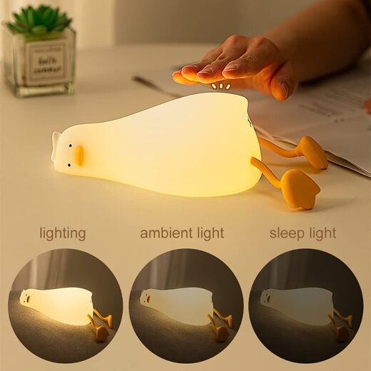 Slipping Duck Night Light - Image 2