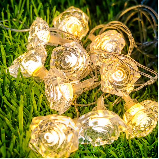 Crystal Rose String Light (10 Rose) ✨