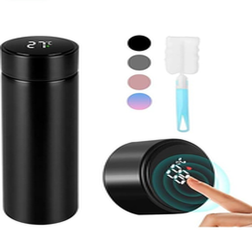 Temperature Water Bottle