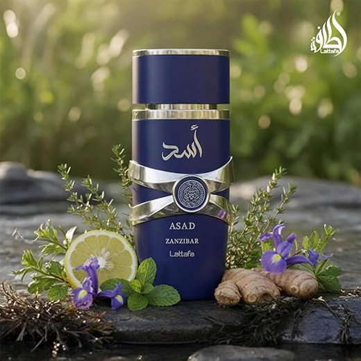 Lattafa Asad Zanzibar Eau de Parfum – Lattafa Perfumes - Image 4