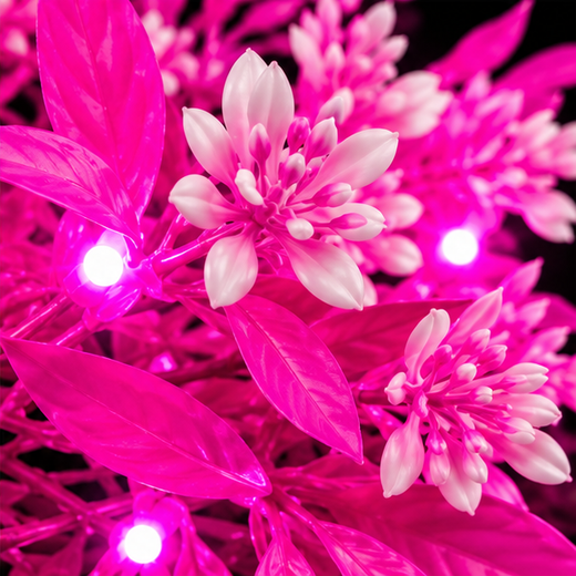 32 Bulb Pink Light Patta String Light ✨ - Image 4