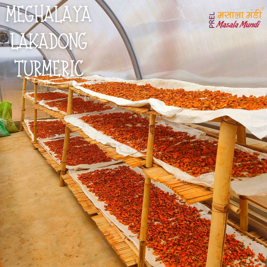 Masala Mundi Lakadong Turmeric Powder | 7+% Curcumin | Sourced from Jaintia Hills, Meghalaya 100g (Pack of 10) - Image 4