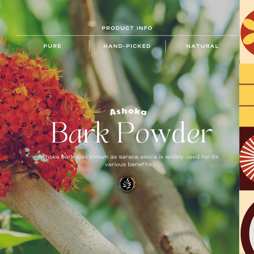 Ashoka bark powder - Image 2