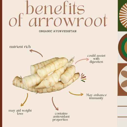Arrow root powder - Image 2
