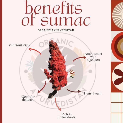 Sumac Powder - Image 2