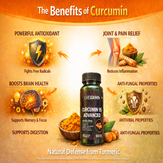 CURCUMIN 95 ADVANCED
