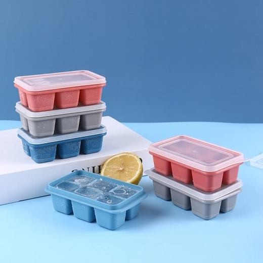 6 Grid Ice Cube Tray
